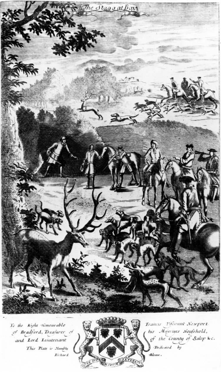 Le cerf à l