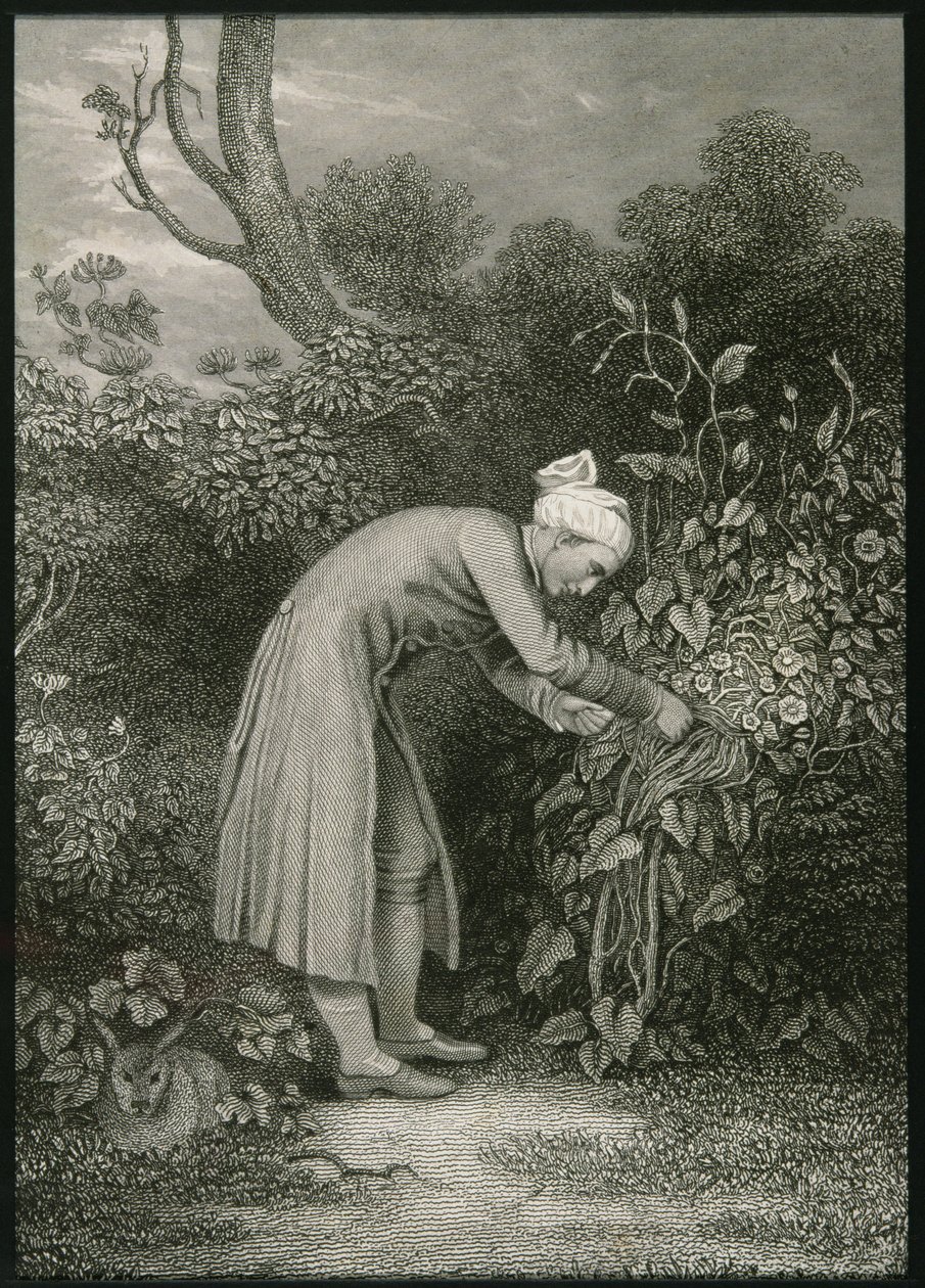 William Cowper (1731-1800) - English School