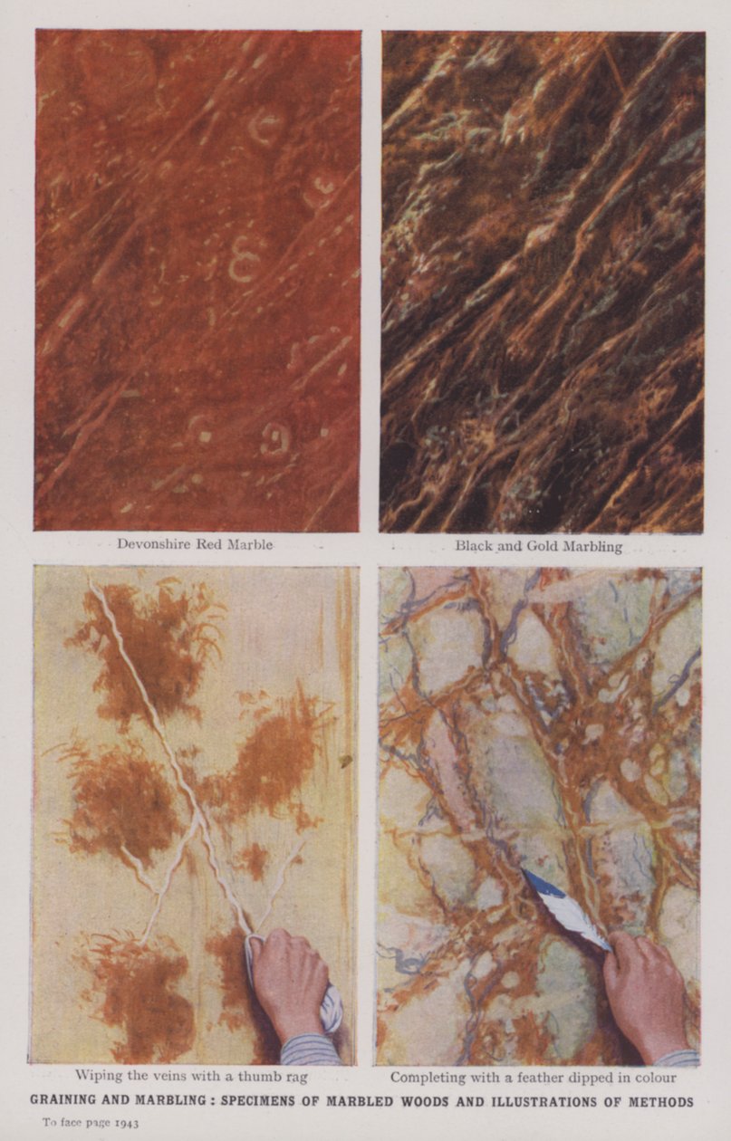 Grainage et marbrure, spécimens de bois marbrés et illustrations de méthodes (photo couleur) - English Photographer