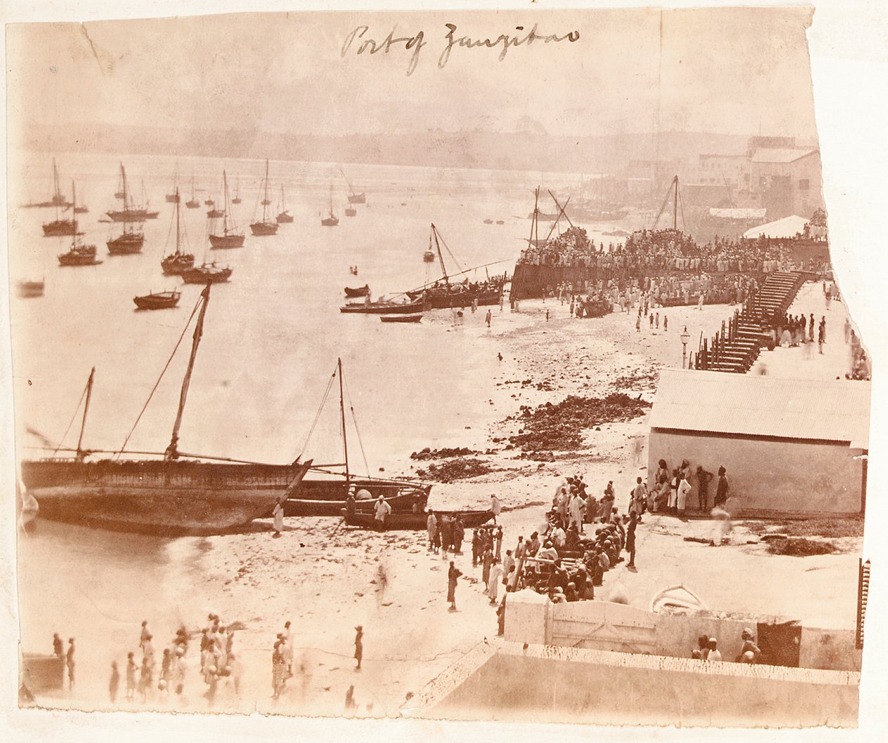 Port de Zanzibar, d