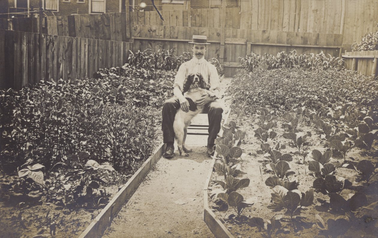 Jardin potager (photo n/b) - English Photographer