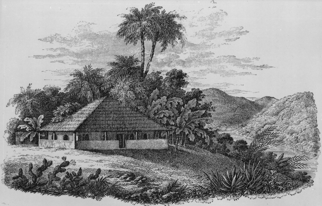 Maison d