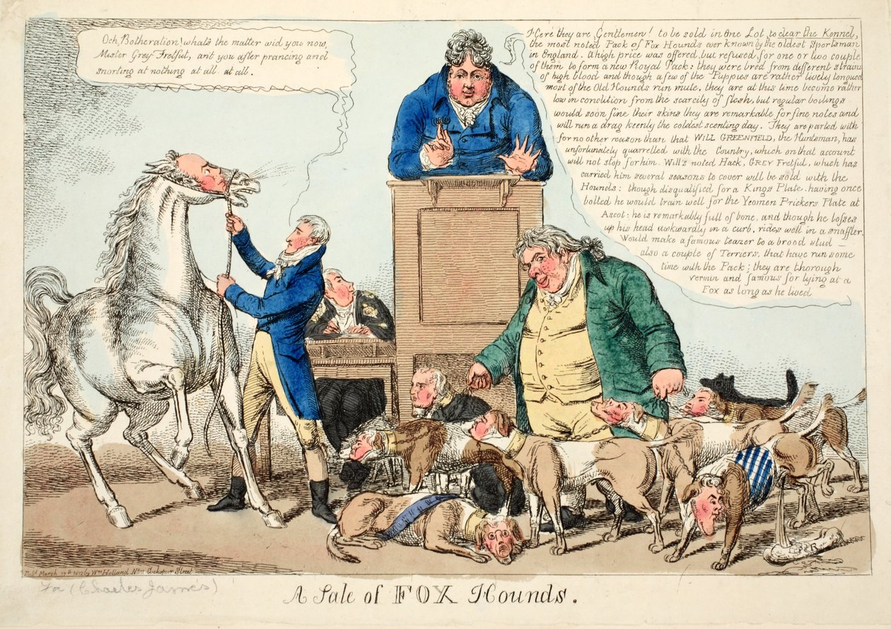 Vente de chiens de chasse - English School
