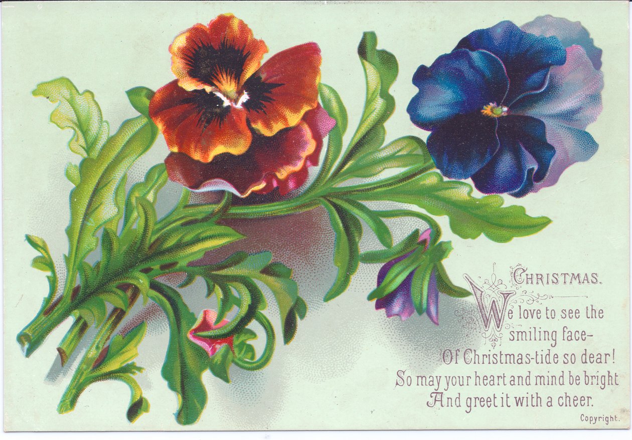 Carte de Noël victorienne avec un bouquet de pensées, vers 1880 - English School