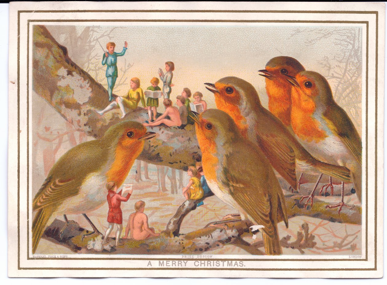 Carte de Noël victorienne représentant cinq rouges-gorges perchés sur une branche écoutant un groupe de fées, vers 1880 - English School