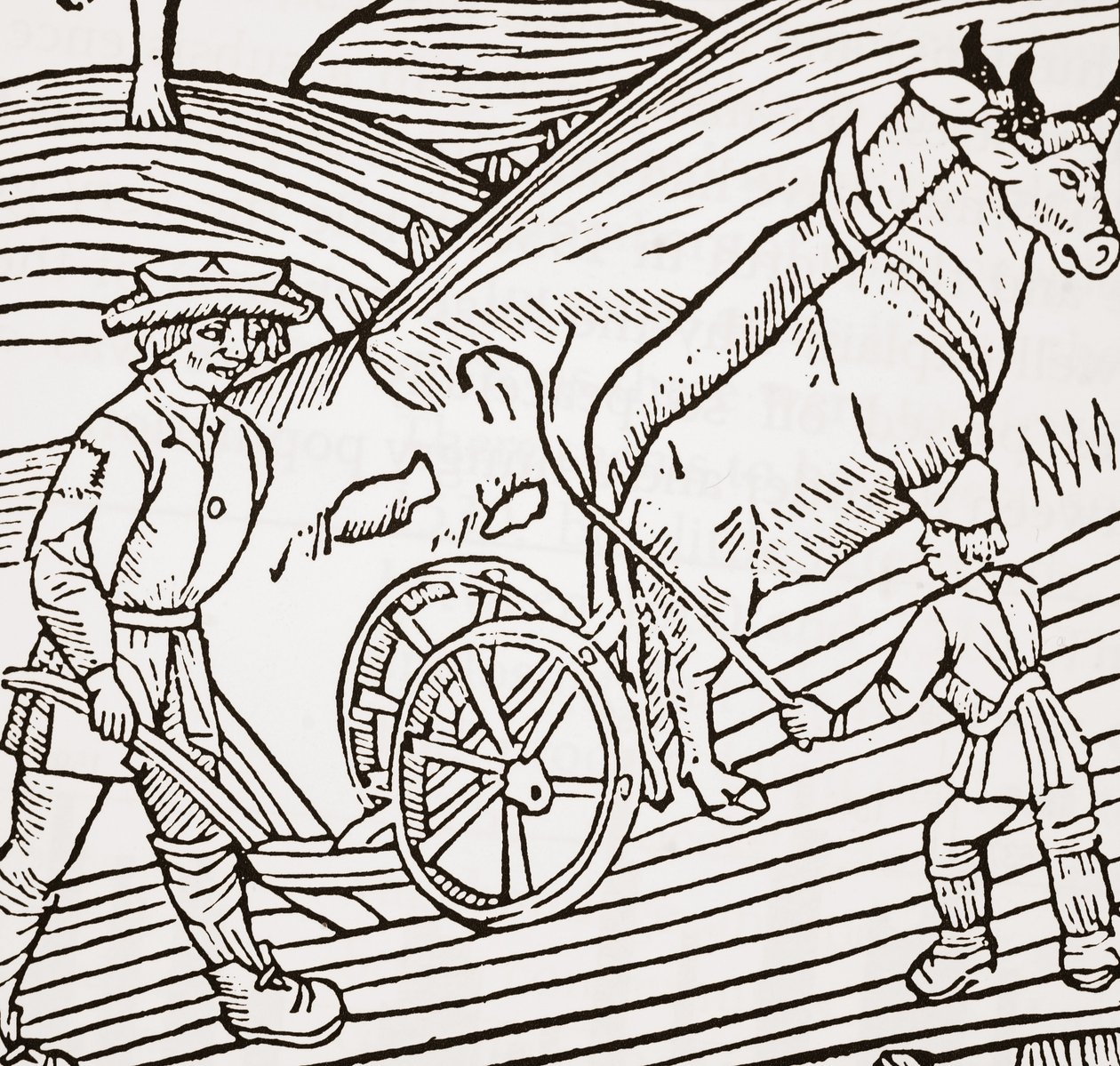 Une paire de bœufs attelés à une charrue, page de titre du Boke of Husbandry de John Fitzherbert, première publication 1523 - English School
