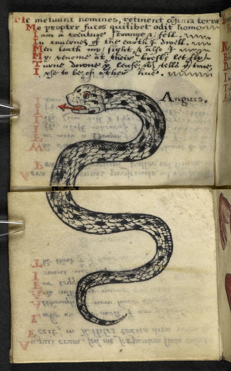 Add MS 57312 f.4 Livre de chasse - English School