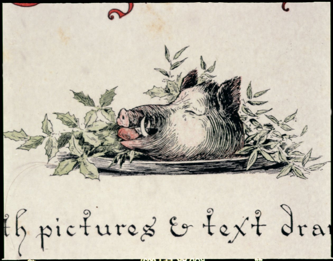 Tête de sanglier - English School