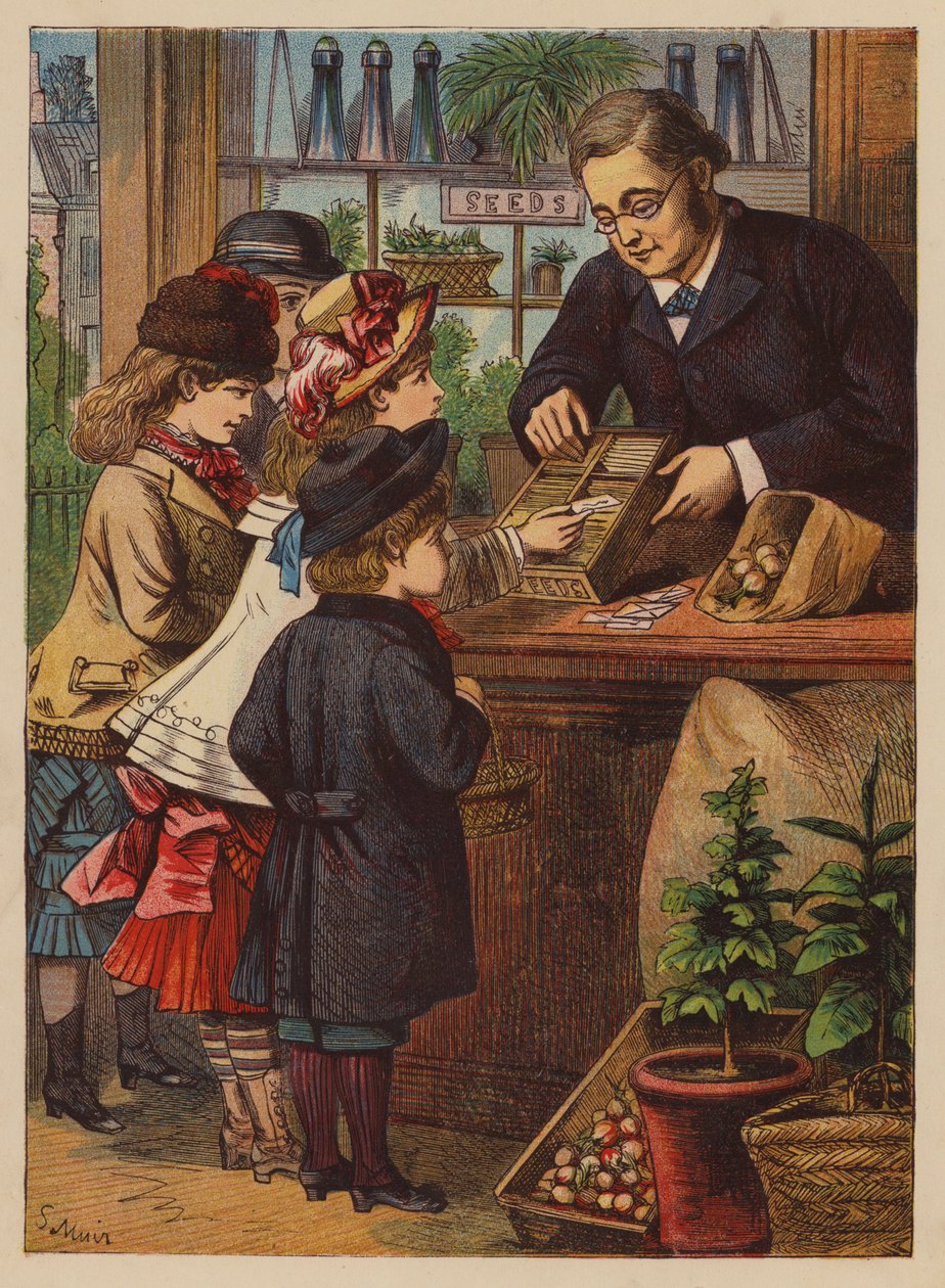 Acheter les semences (lithographie couleur) - English School