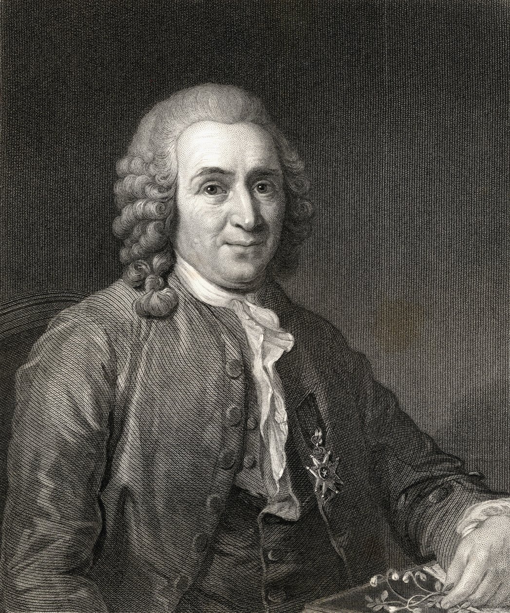 Carl von Linné ou Linné (1707-78) de La Galerie des Portraits, publié en 1833 - English School