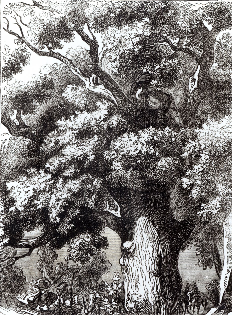 Charles II (1630-85) caché dans le chêne, 14 octobre 1651 - English School