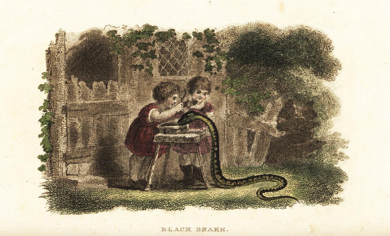 Enfants utilisant des cuillères pour frapper la tête d