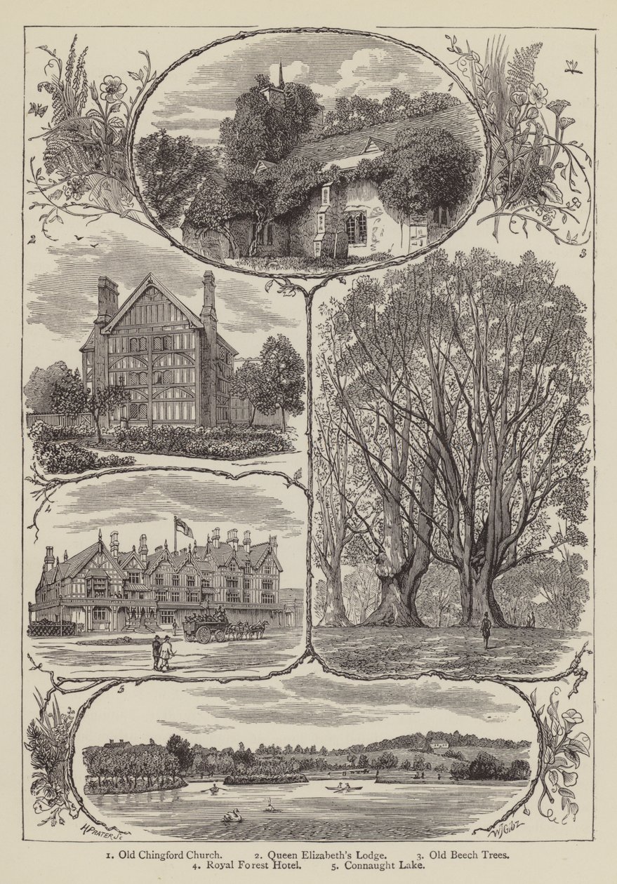 Chingford (gravure) - English School