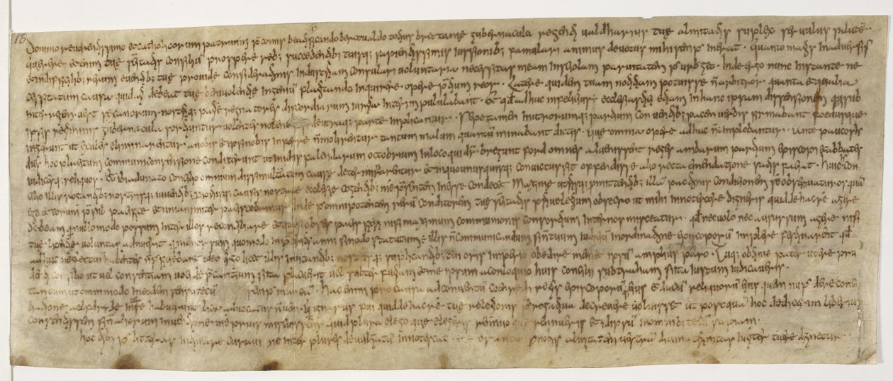 Lettre de Wealdhere, Cotton Augustus ii 18 - English School