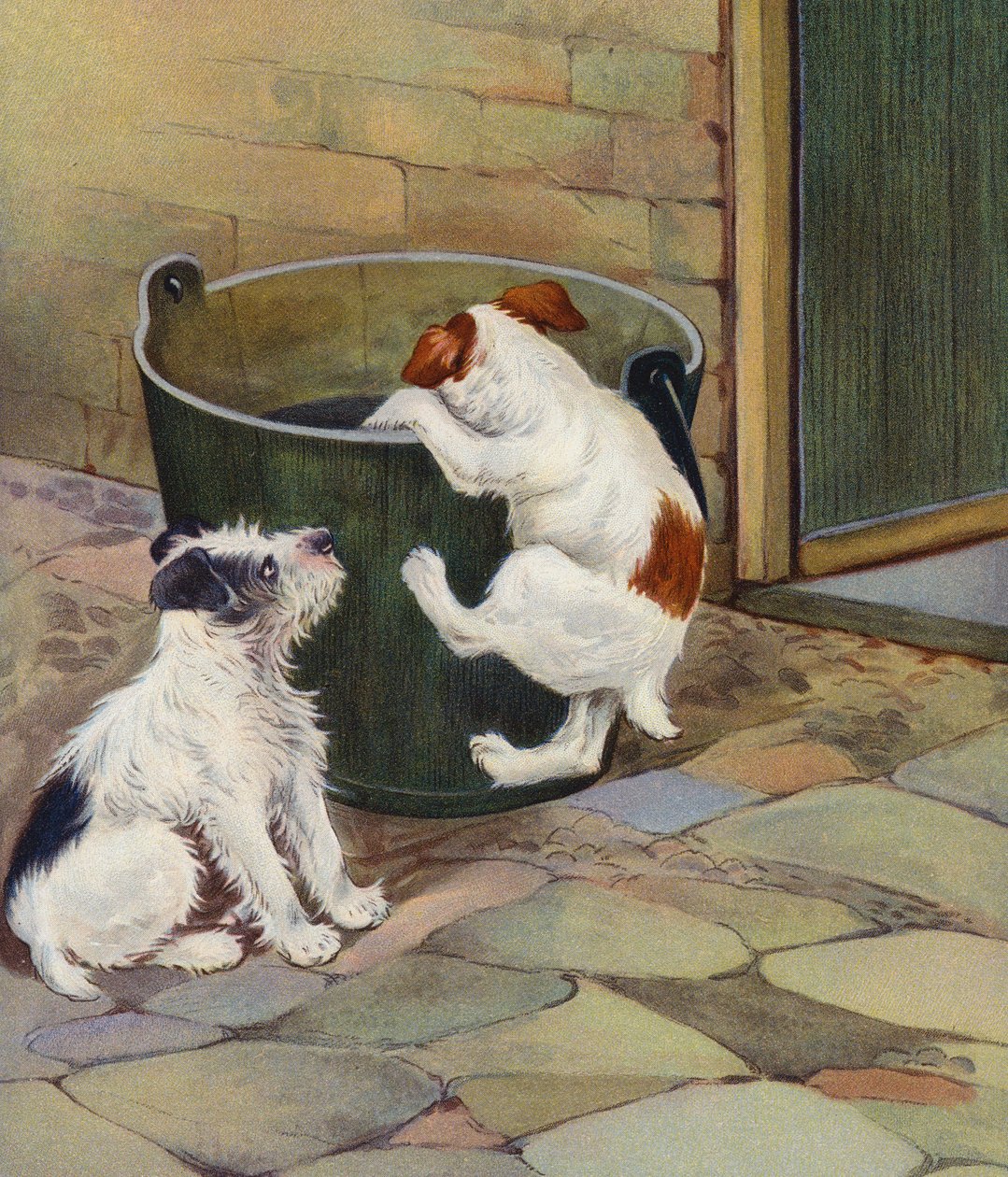 Curiosité (lithographie couleur) - English School