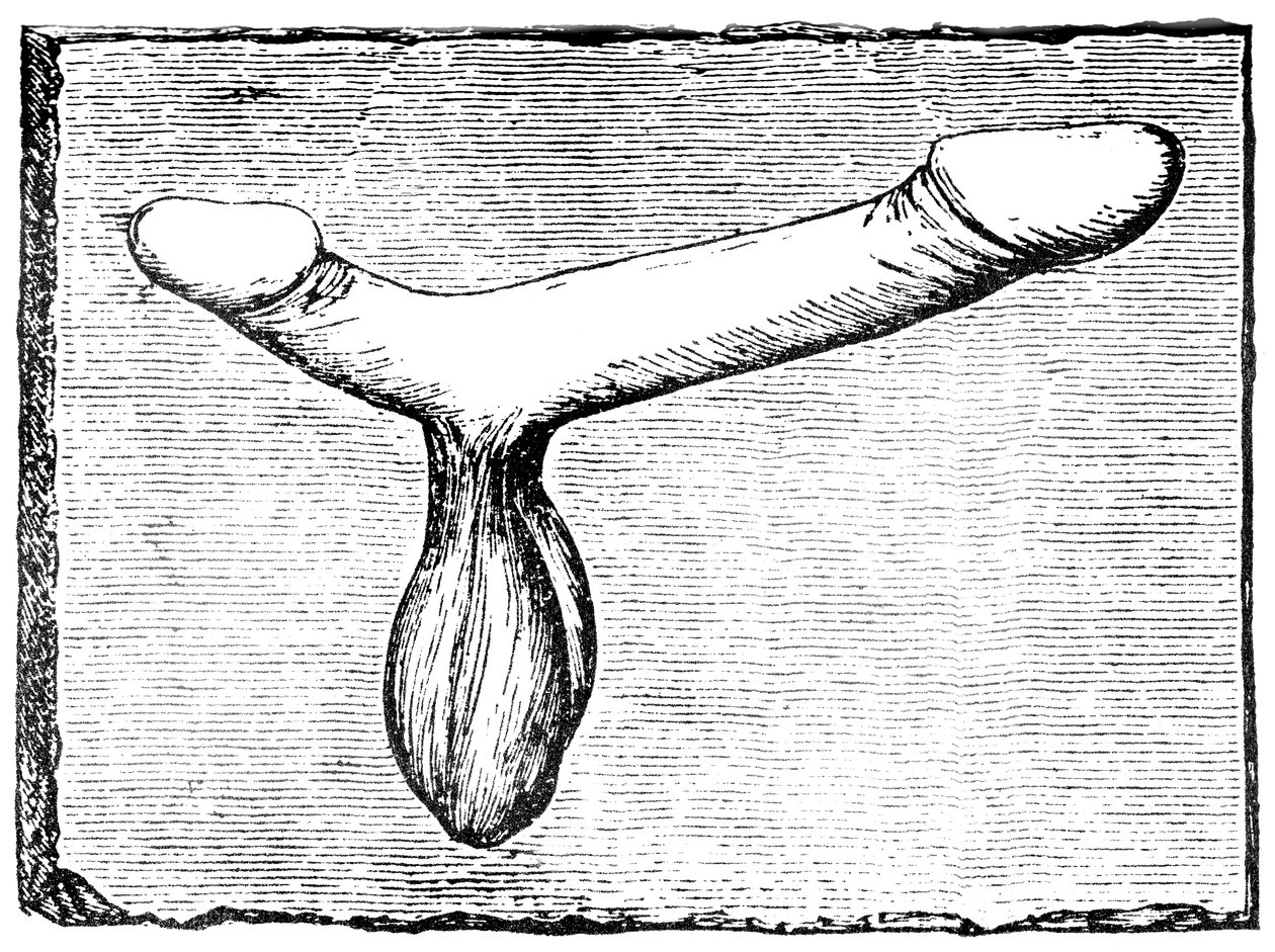 Double phallus du linteau d