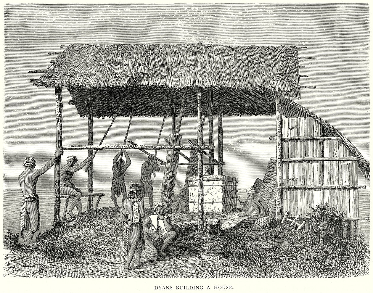 Dyaks construisant une maison (gravure) - English School