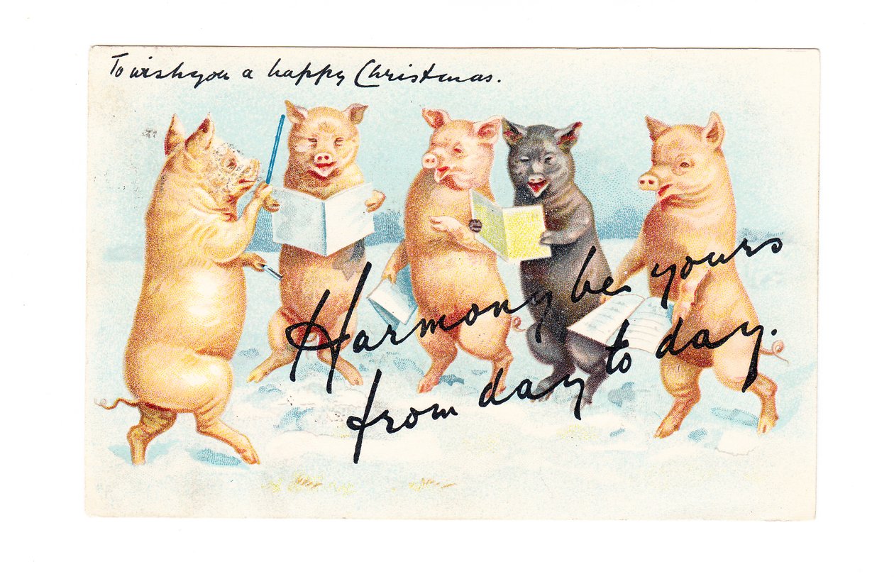 Carte postale de Noël édouardienne représentant cinq cochons en train de faire de la musique, vers 1910 (lithographie couleur) - English School