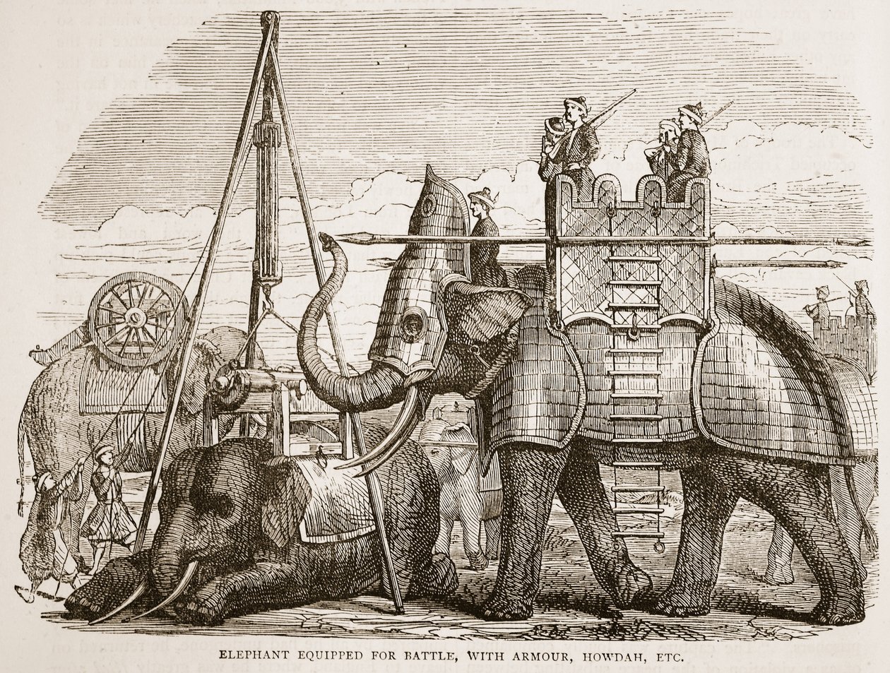 Éléphant équipé pour la bataille, avec armure, howdah, etc., illustration de Cassell
