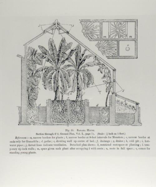 Élévation d