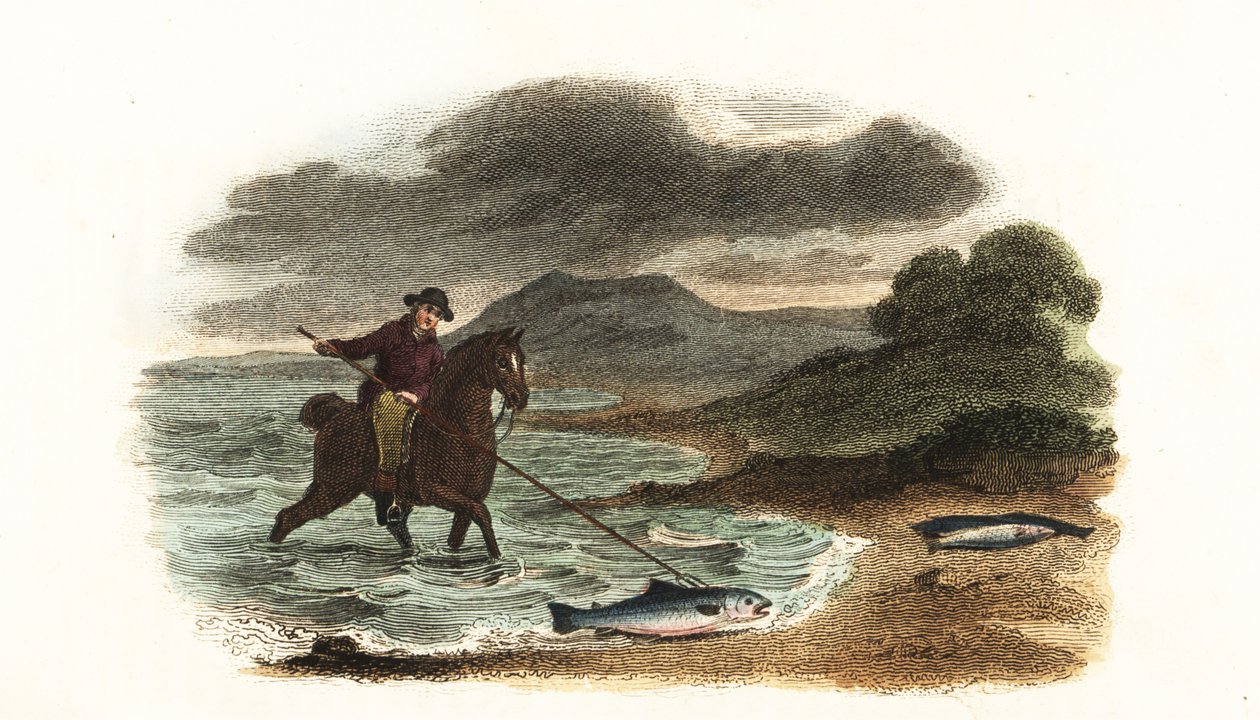 Pêcheur anglais Graham chassant le saumon dans les bas-fonds monté à cheval avec une lance à trois pointes de 5 mètres - English School