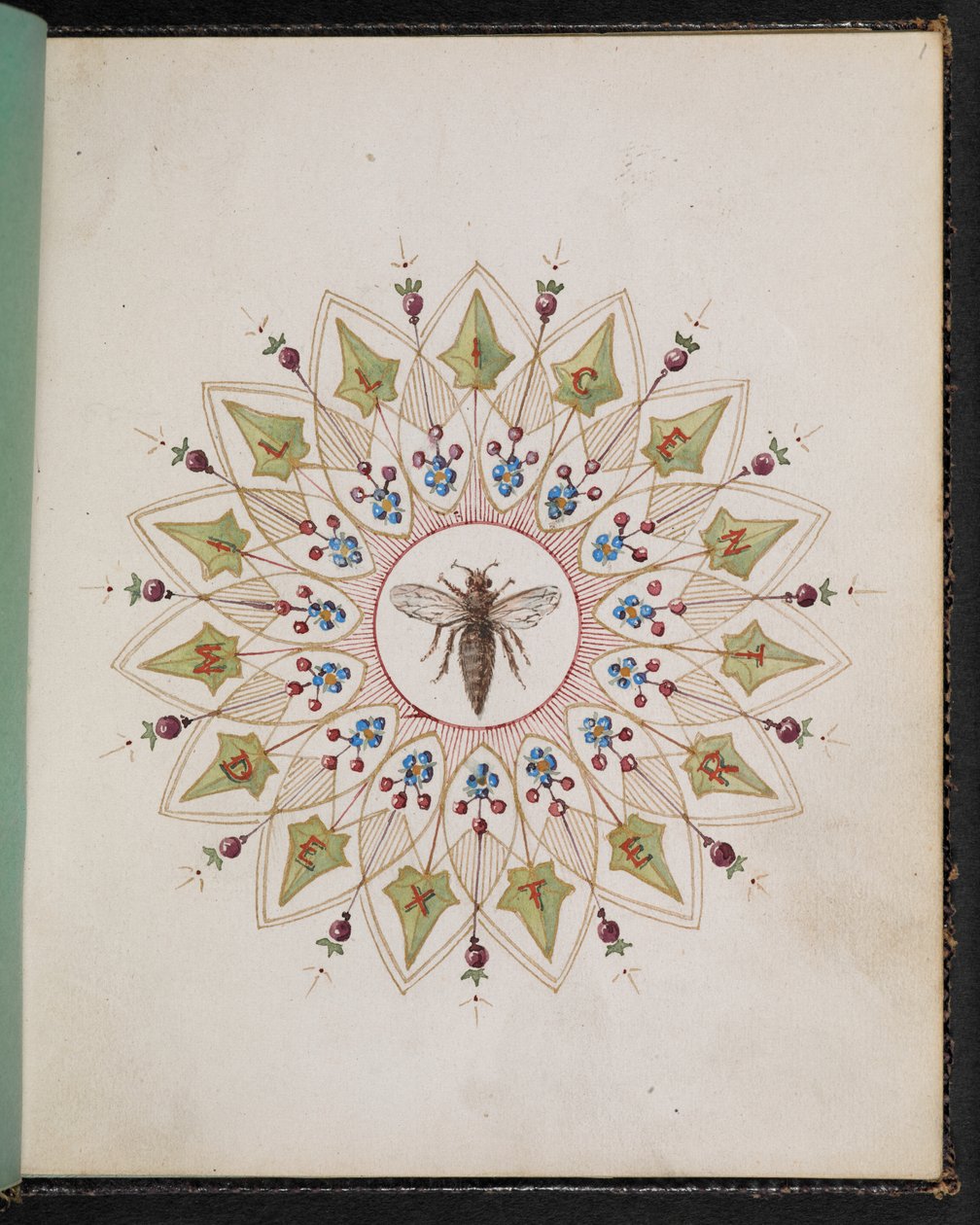 Insecte dans un dessin. Carnet de croquis avec des scènes des histoires de Charles Dickens (aquarelle sur papier) - English School