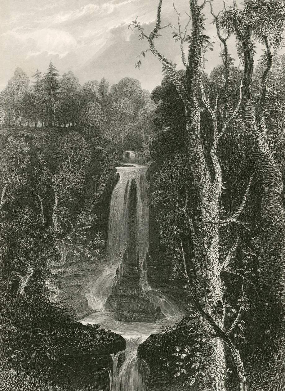 Chutes d