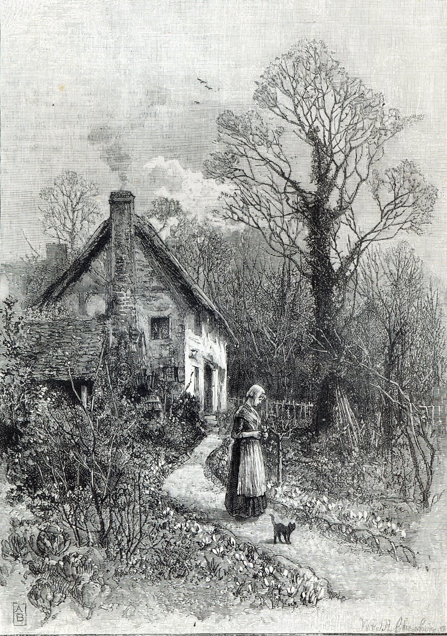 Premières fleurs, de 
