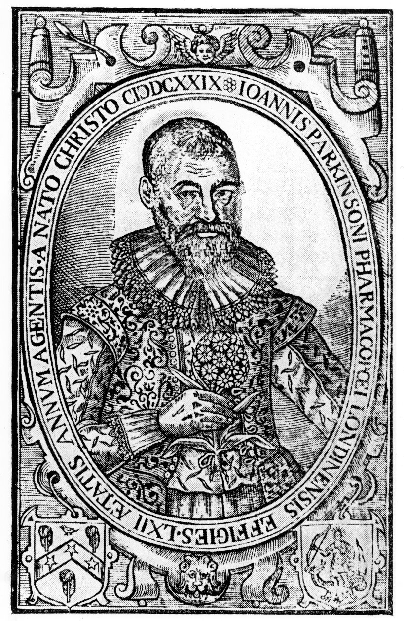 Frontispice de Paradisi in Sole Paradisus Terrestris par John Parkinson, publié en 1629 - English School