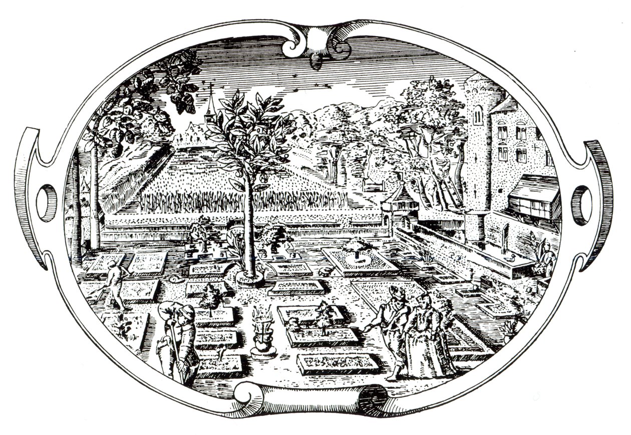 Frontispice, de The Herball, par John Gerard, publié en 1597 - English School