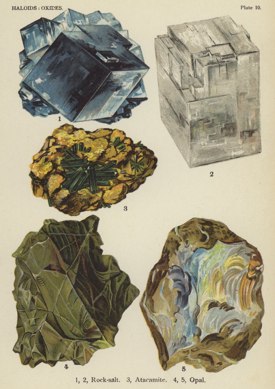 Haloïdes, oxydes, sels de roche, atacamite, opale (litho couleur) - English School