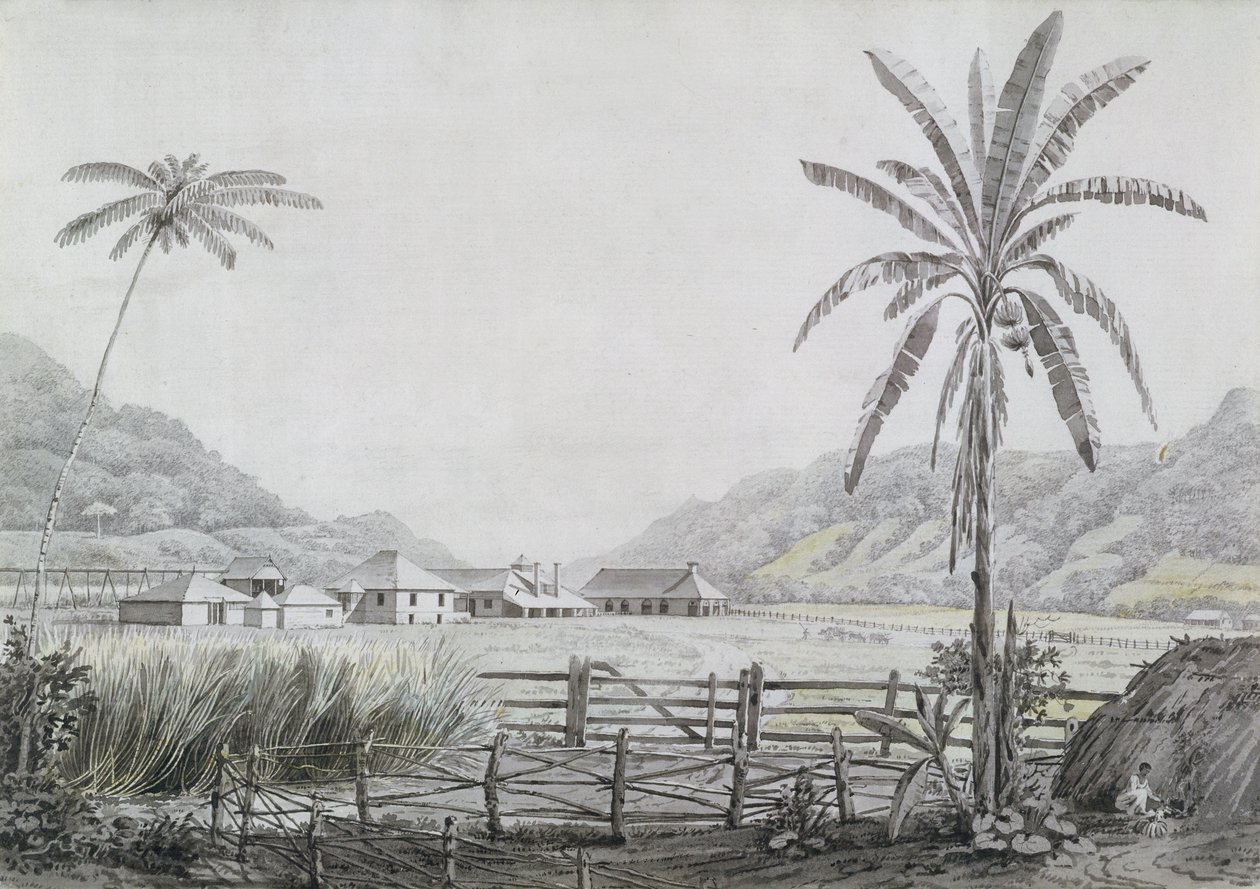 Halse Hall, Jamaïque, vers 1780 - English School
