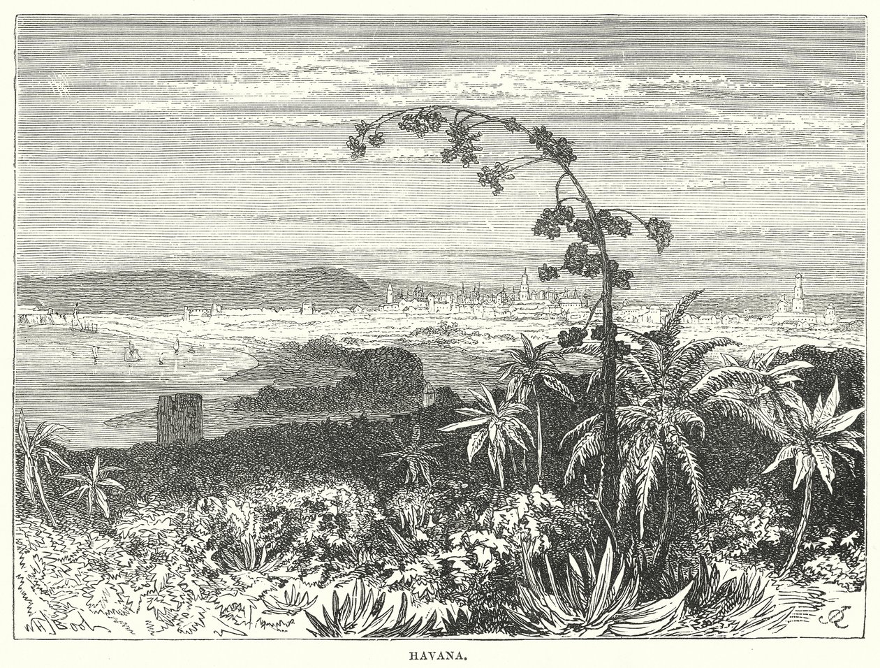 La Havane (gravure) - English School