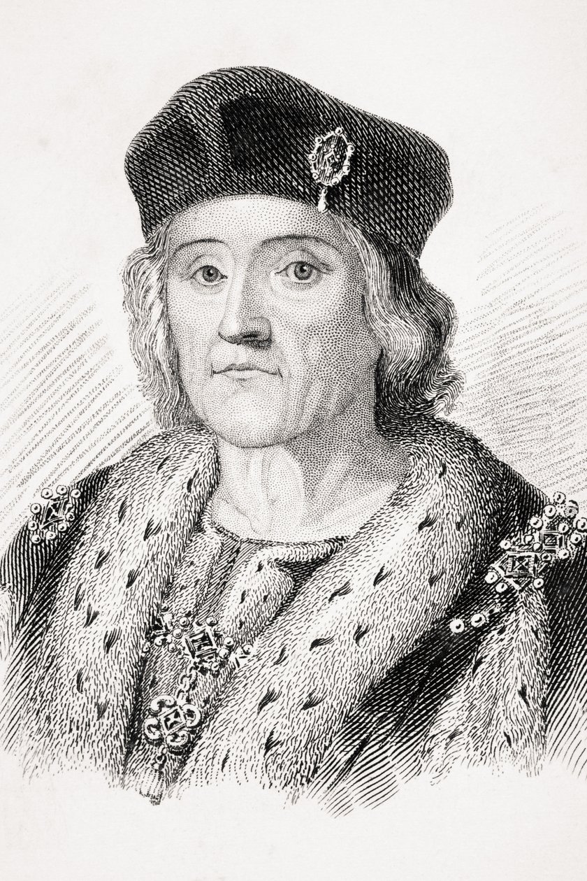 Henri VII d