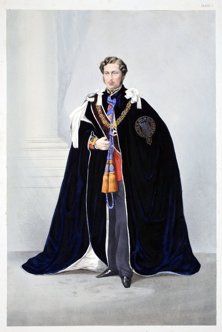 Son Altesse Royale, Albert Edward, Prince de Galles, de A Memorial of the Marriage of Edward VII and Alexandra of Denmark, pub. 1864 - English School