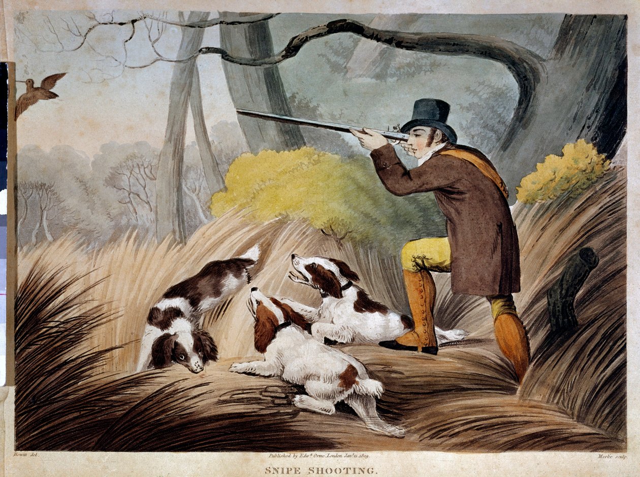 Chasse à la bécasse en Angleterre. Gravure aquarelle du 19ème siècle. Gien, musée de la chasse. - English School