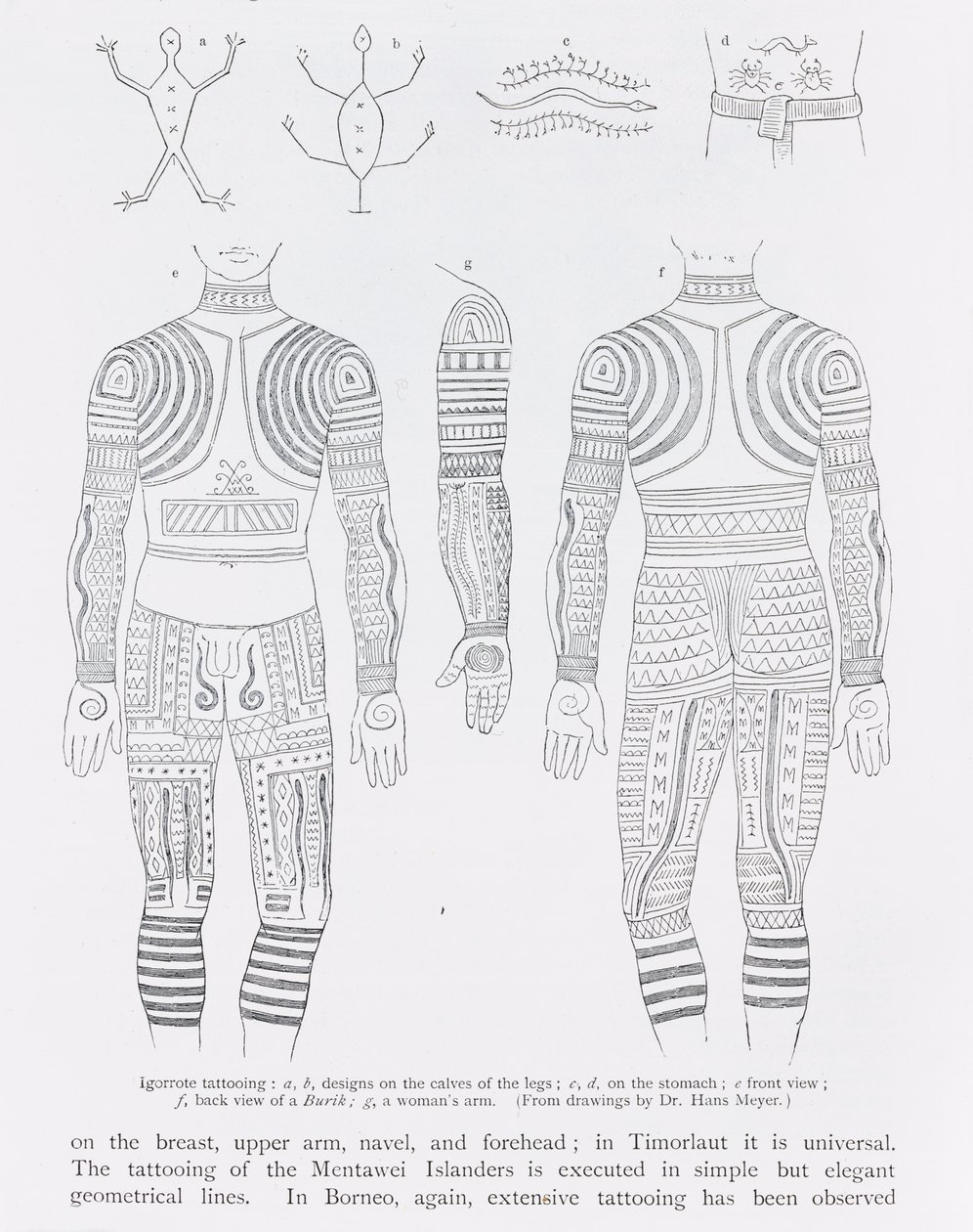 Tatouage Igorrote, de 