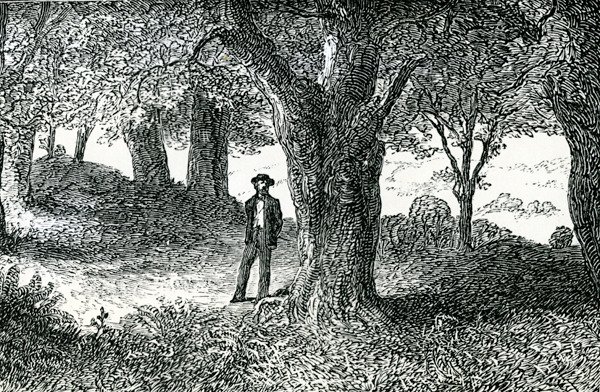 Illustration de 