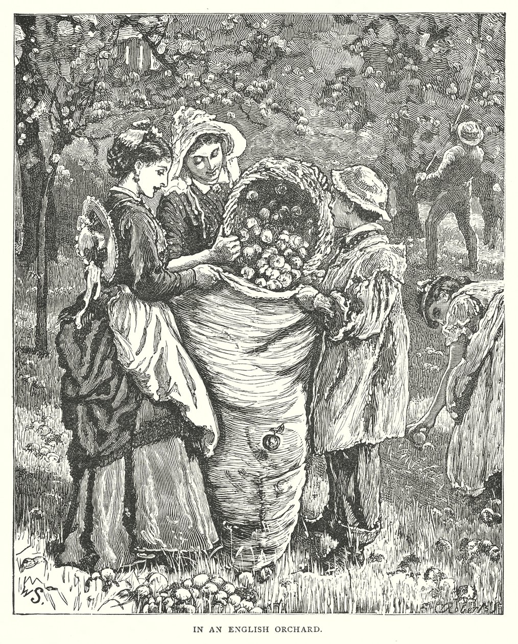Dans un verger anglais (gravure) - English School