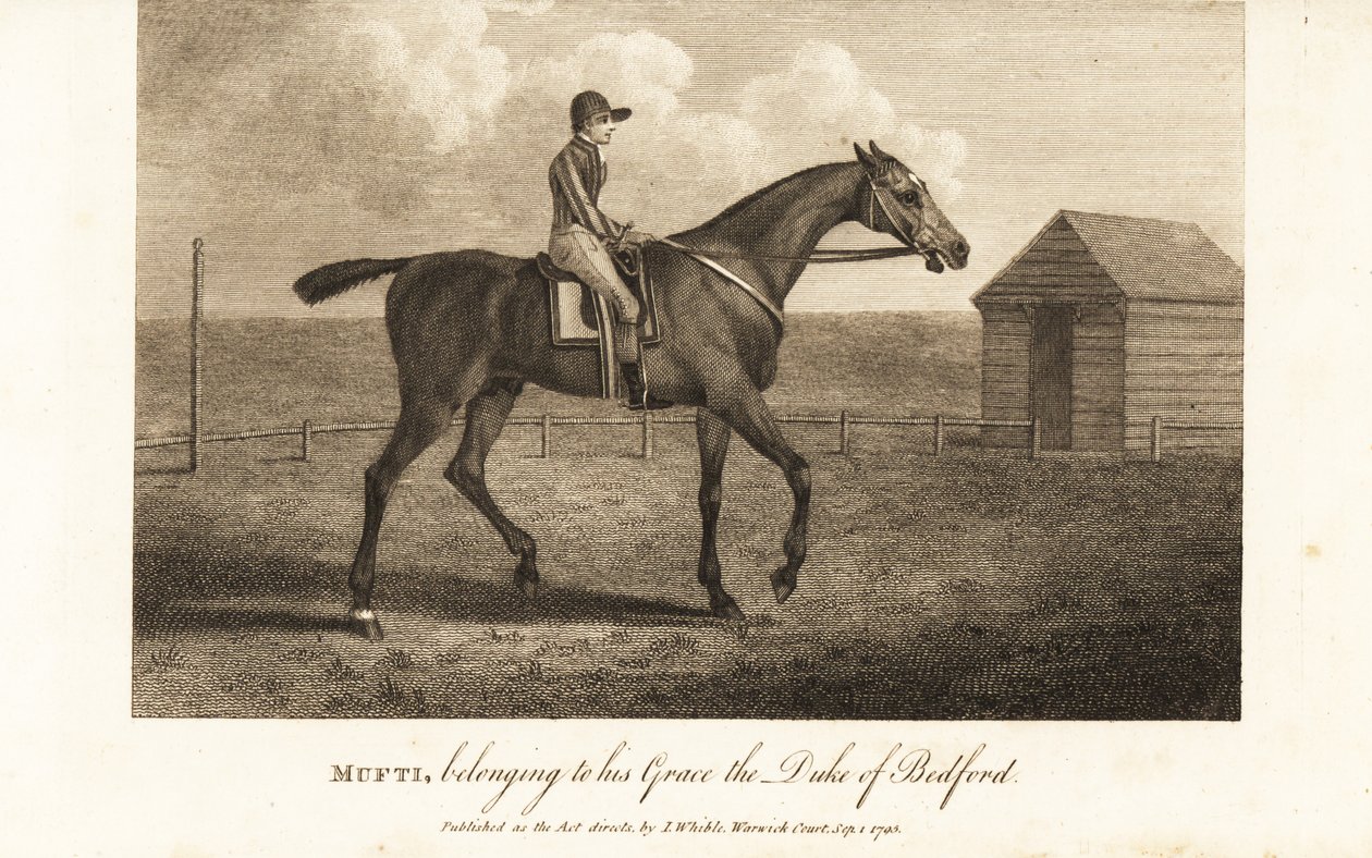 Jockey sur le célèbre cheval de course pur-sang Mufti, appartenant à son Altesse le Duc de Bedford - English School