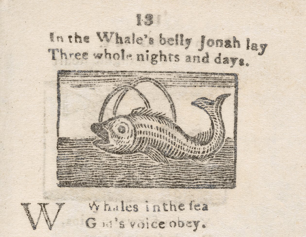 Jonas dans le ventre de la baleine, illustration pour la lettre W, d
