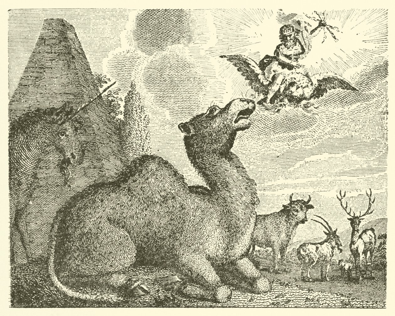Jupiter et le chameau (gravure) - English School