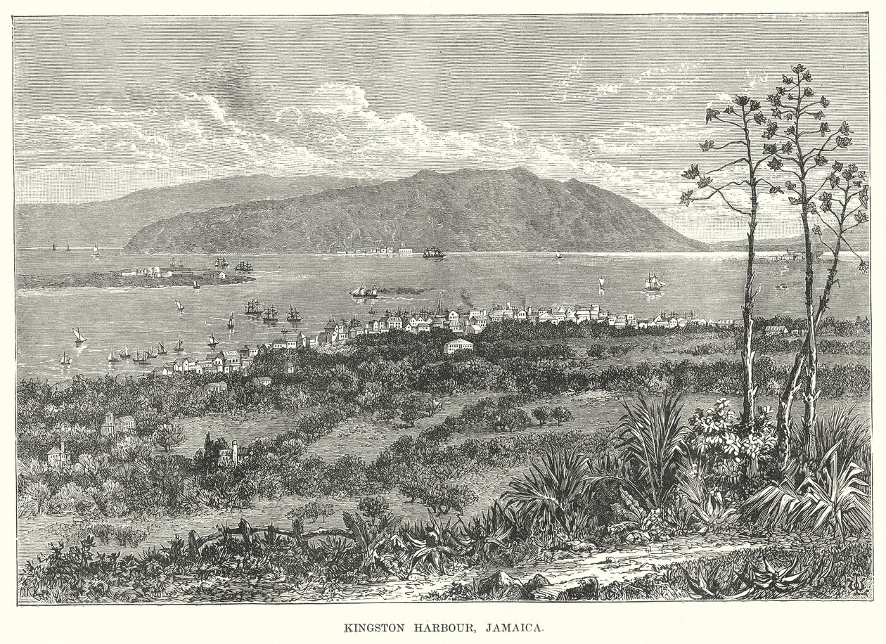 Port de Kingston, Jamaïque (gravure) - English School