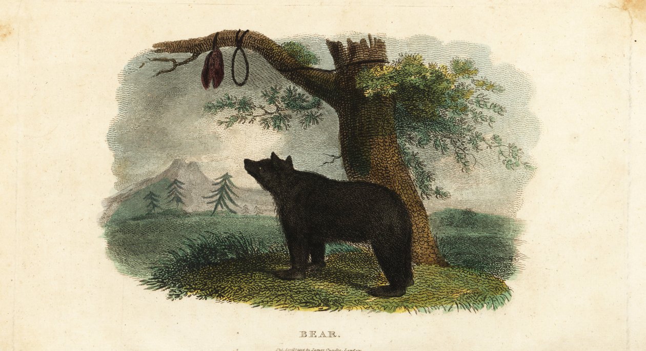 Méthode de chasse à l