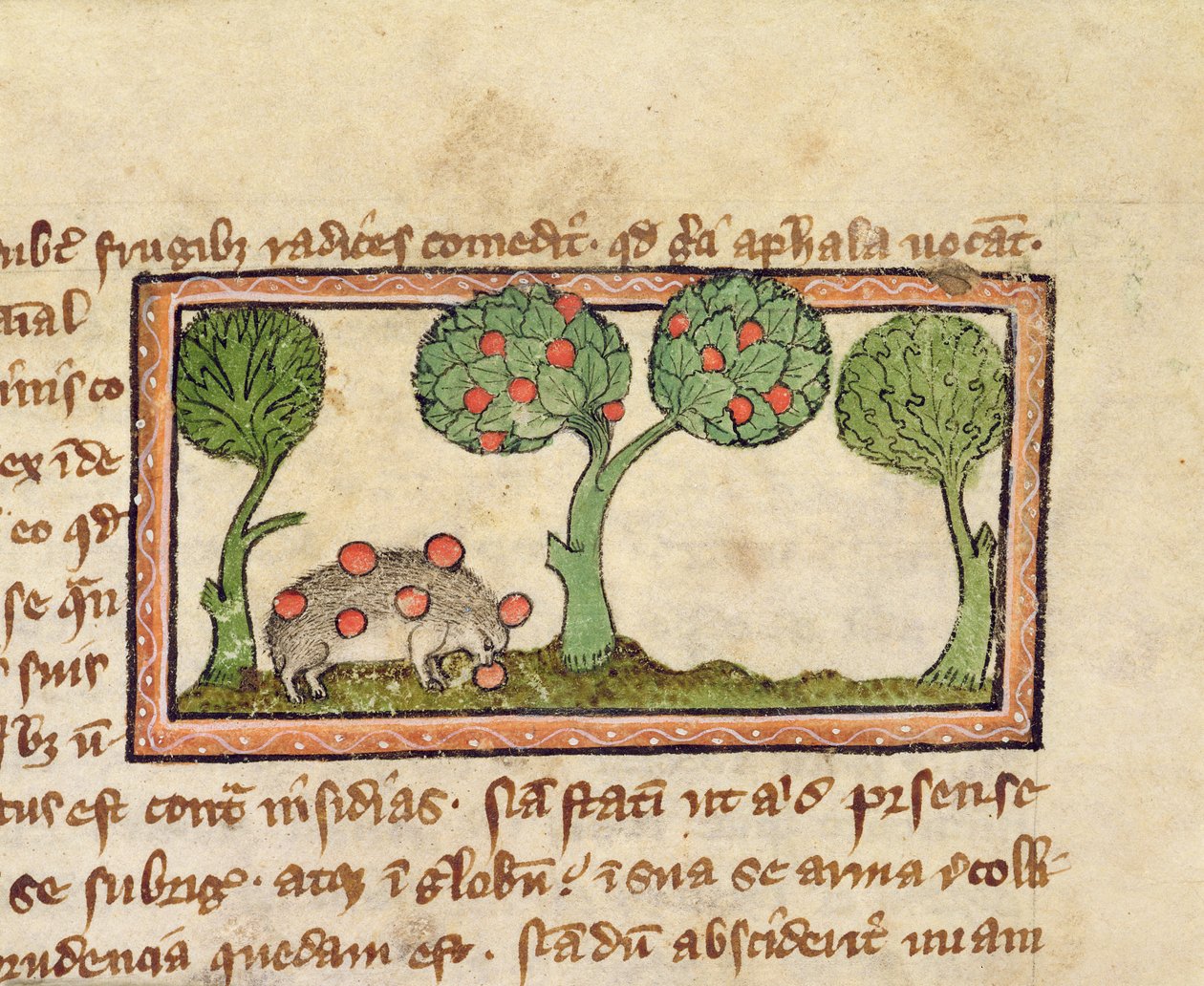 Un hérisson cueillant des pommes, détail d
