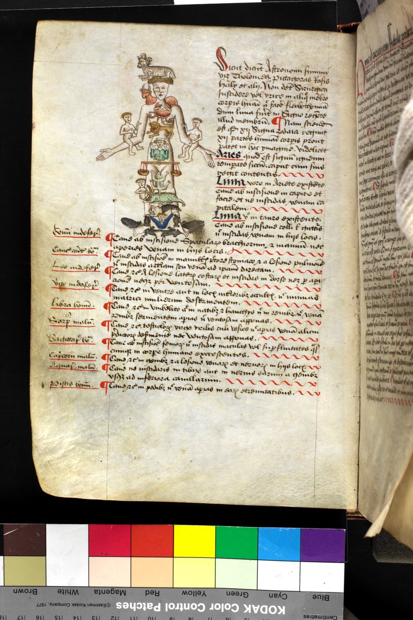MS Hunter 251 f.47v, illustration d