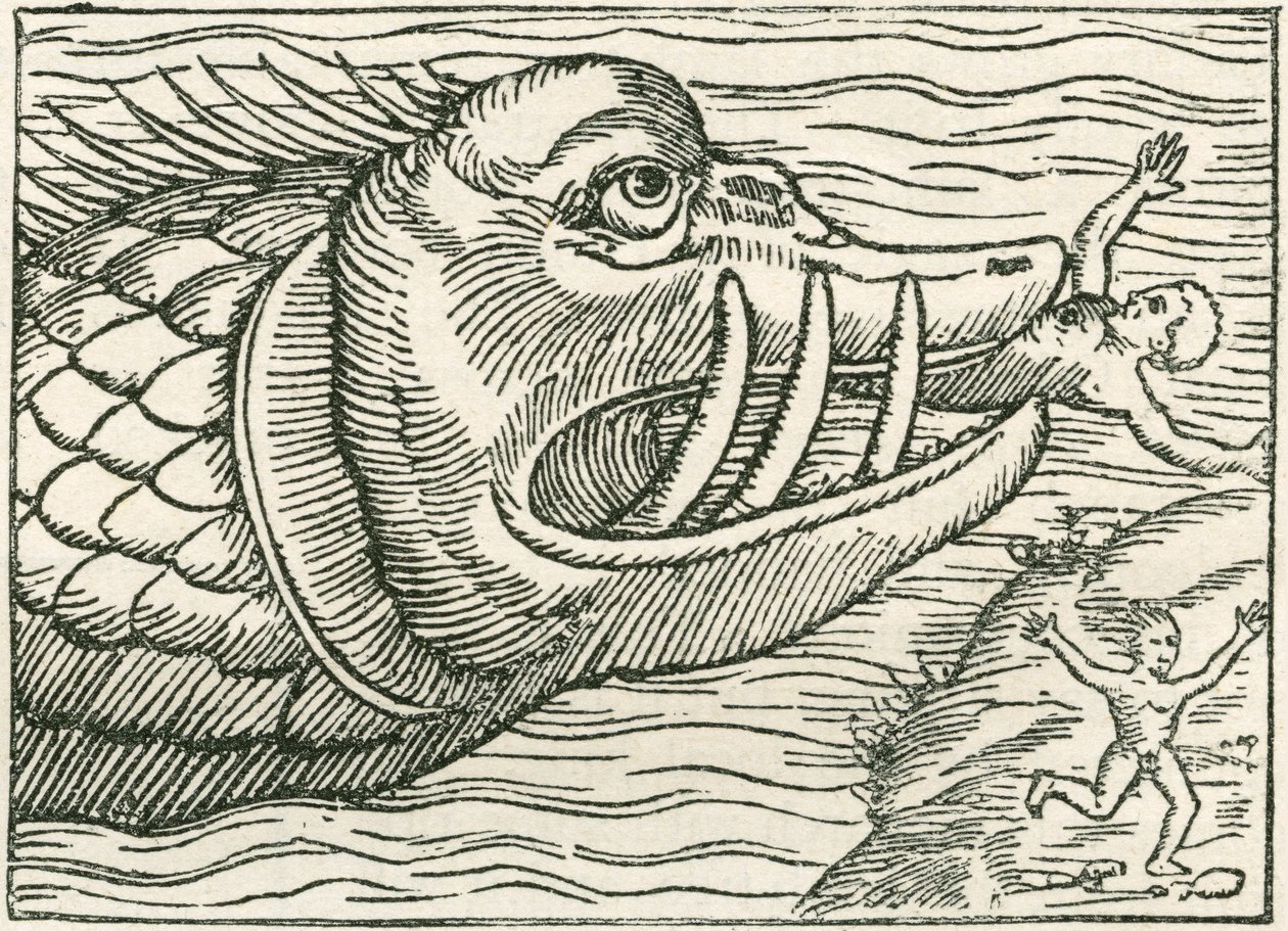 Homme dévoré par un serpent de mer. Illustration trouvée en marge d