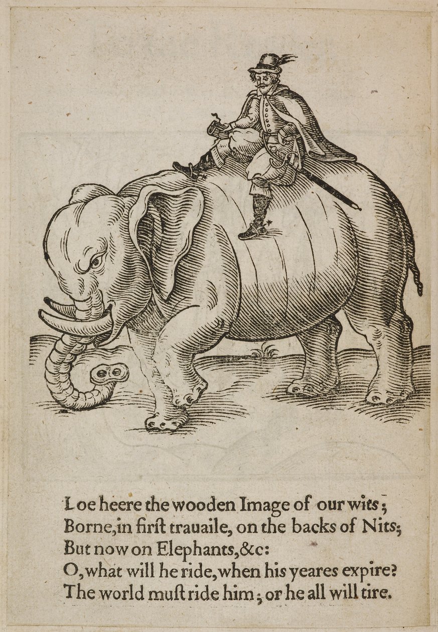 Homme chevauchant un éléphant, illustration de 