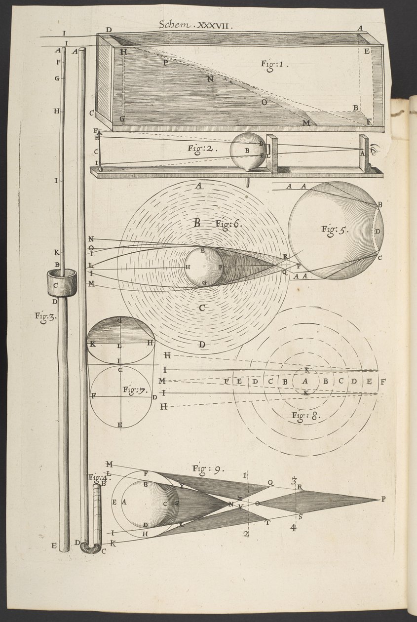 Micrographia, ou quelques descriptions physiologiques de corps minuscules faites par des verres grossissants, avec des observations et des enquêtes à ce sujet, Robert Hooke - English School