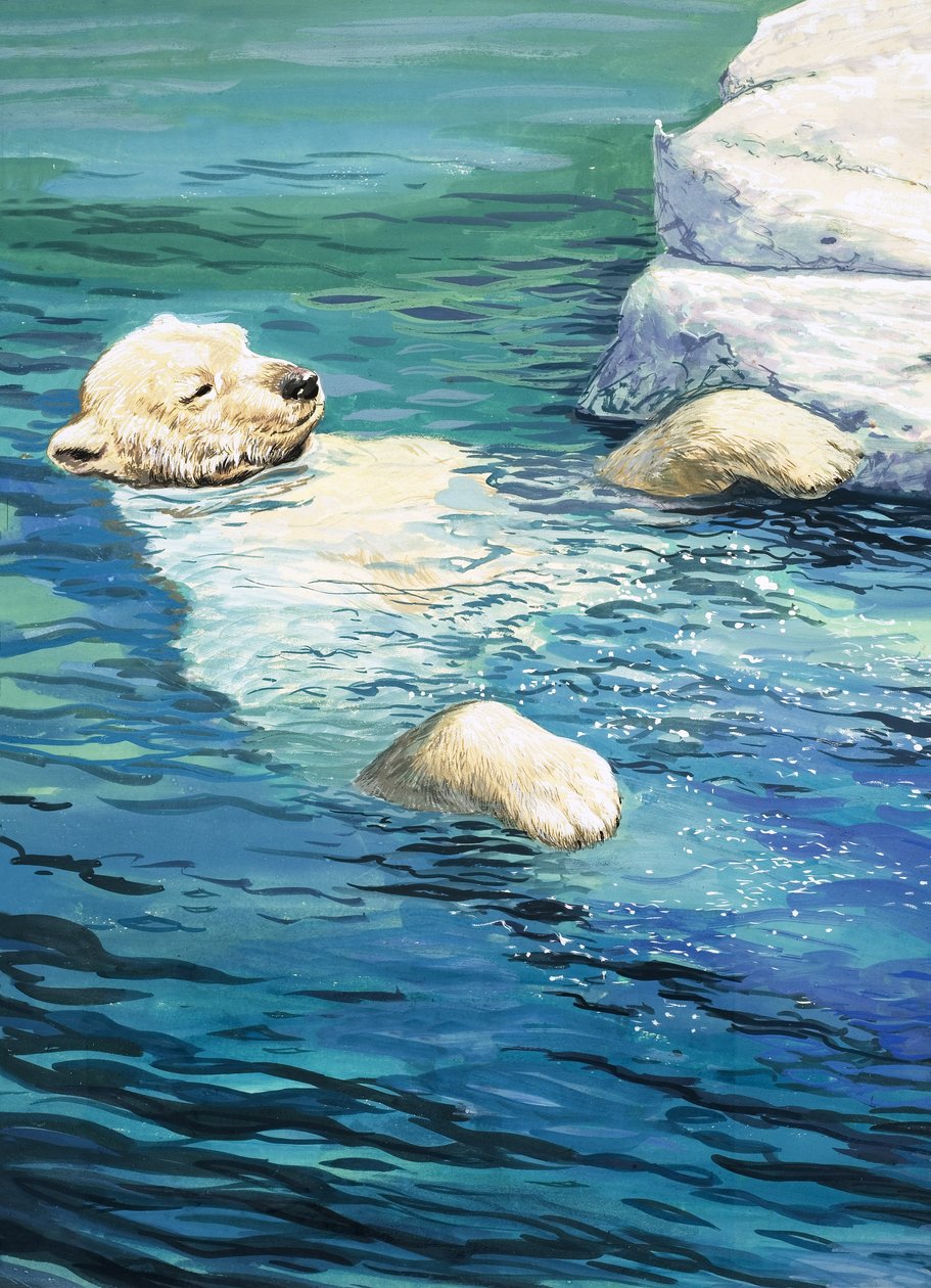 Ours polaire enjoué, illustration de "Nature